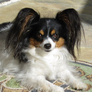 Meet your Posher, Sheila